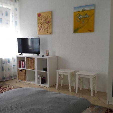 Moderne Wohnung In Barockem Altstadthaus Nahe Altstadt Und Radweg Blieskastel Eksteriør billede