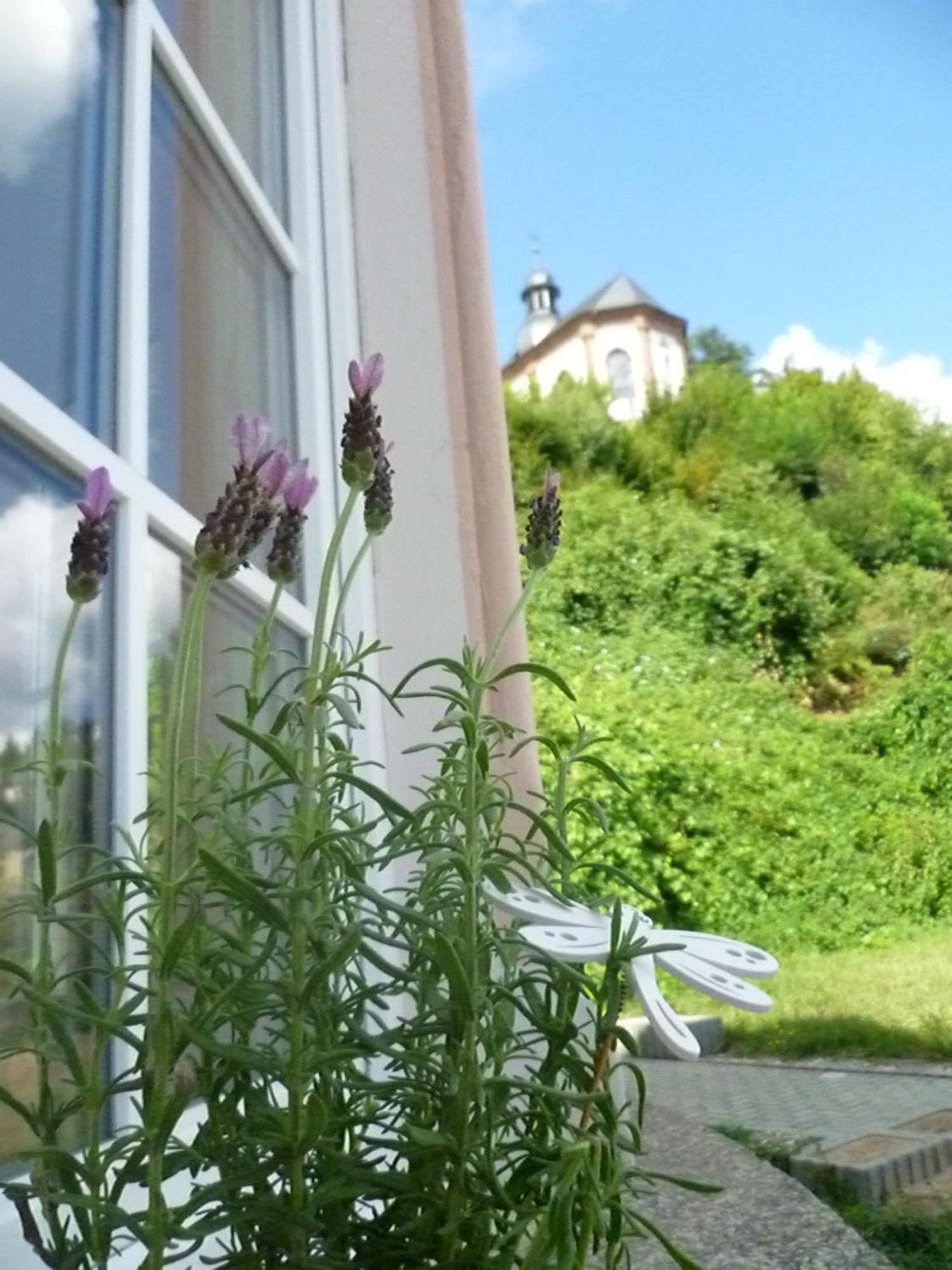 Moderne Wohnung In Barockem Altstadthaus Nahe Altstadt Und Radweg Blieskastel Eksteriør billede