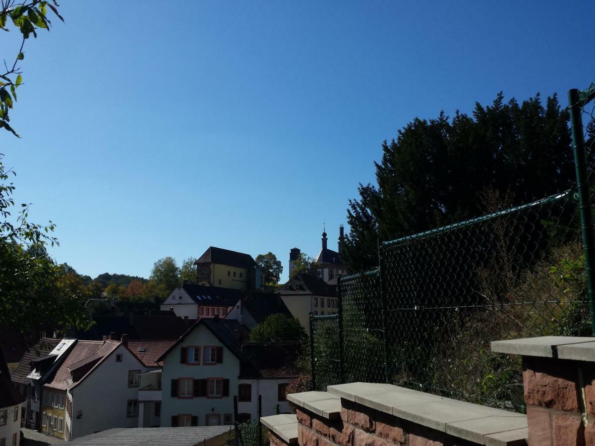 Moderne Wohnung In Barockem Altstadthaus Nahe Altstadt Und Radweg Blieskastel Eksteriør billede