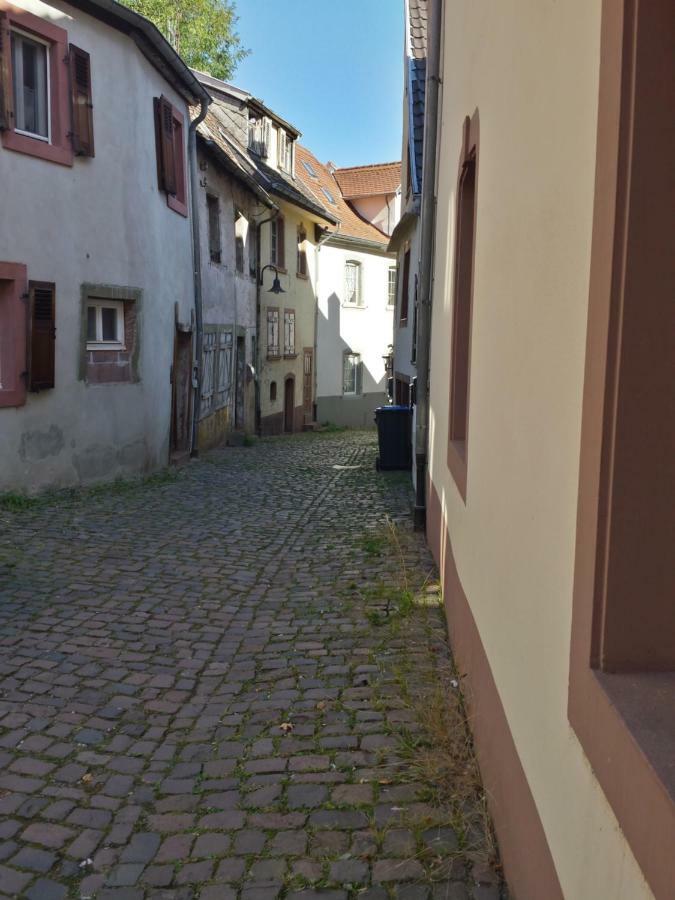 Moderne Wohnung In Barockem Altstadthaus Nahe Altstadt Und Radweg Blieskastel Eksteriør billede