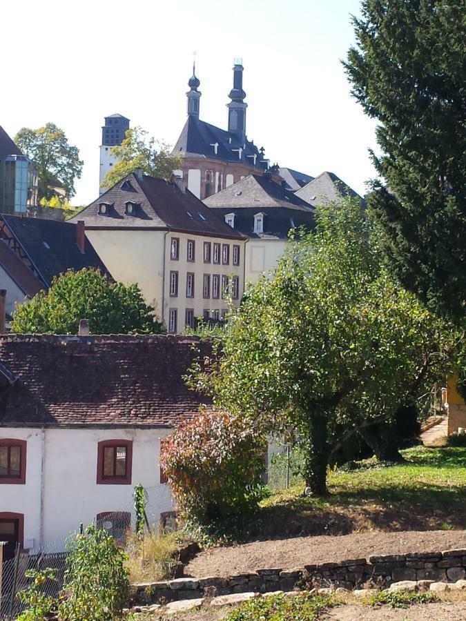Moderne Wohnung In Barockem Altstadthaus Nahe Altstadt Und Radweg Blieskastel Eksteriør billede