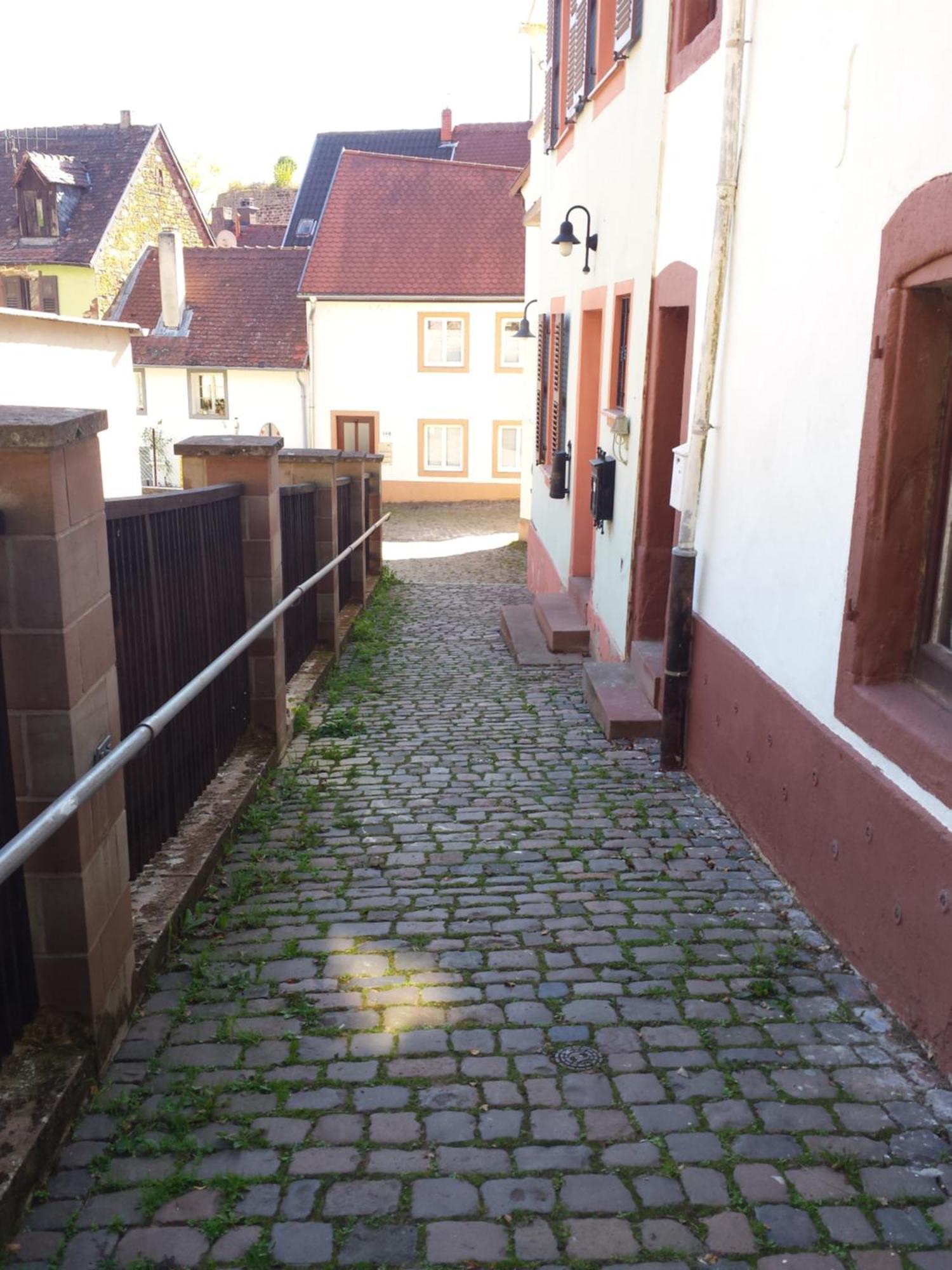 Moderne Wohnung In Barockem Altstadthaus Nahe Altstadt Und Radweg Blieskastel Eksteriør billede
